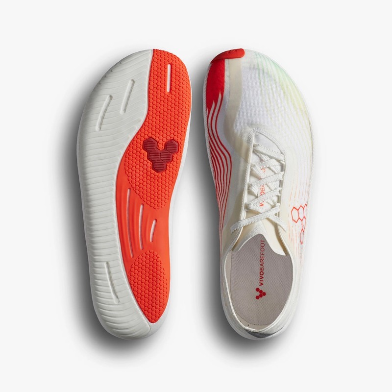 VIVOBAREFOOT PRIMUS FLOW - MEN & WOMEN - Image 6